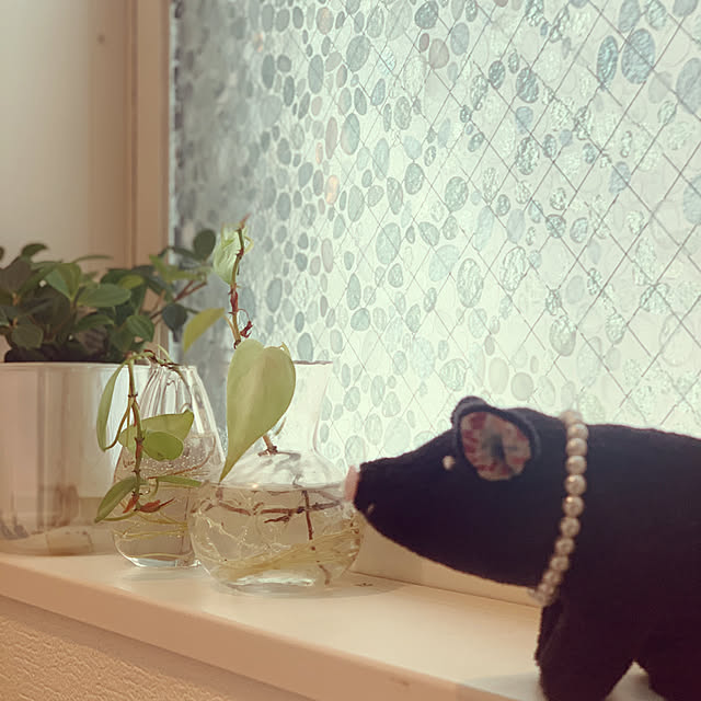 sakiさんの部屋