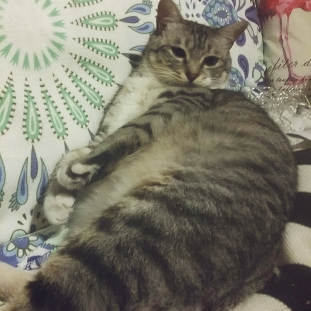 annさんの実例写真