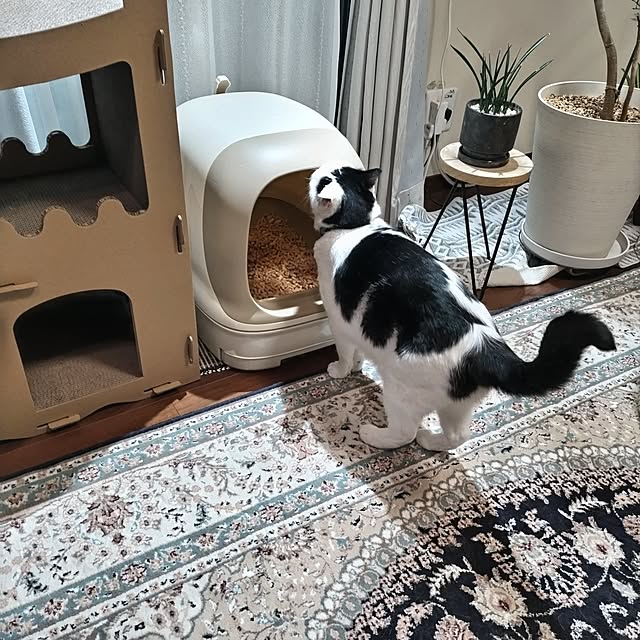 yuuさんの部屋