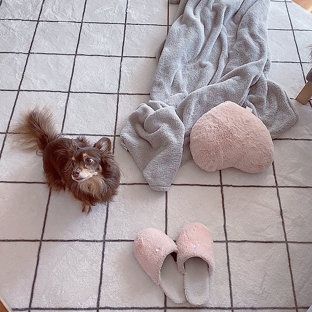 Chaso.さんの実例写真