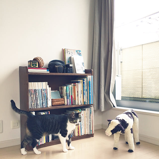 JUENさんの実例写真