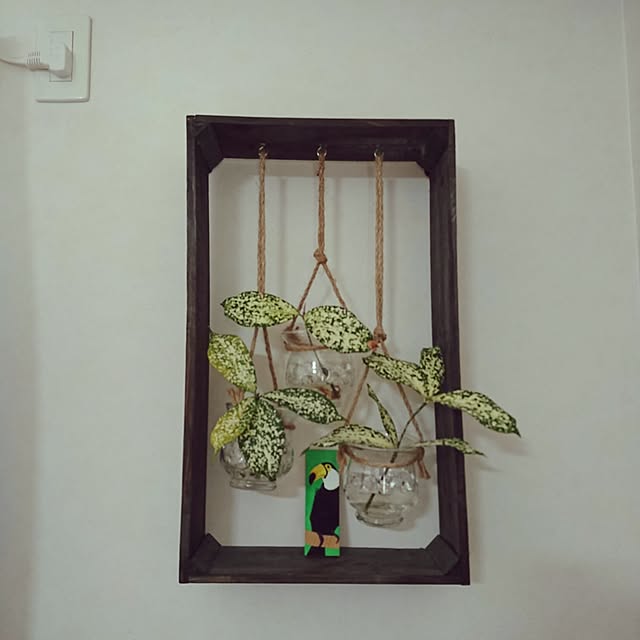 Harutaさんの実例写真