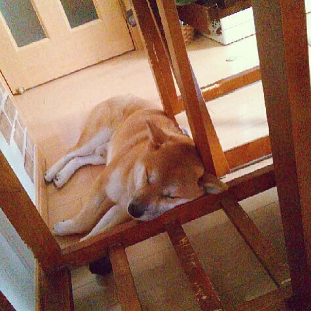 kotaさんの実例写真