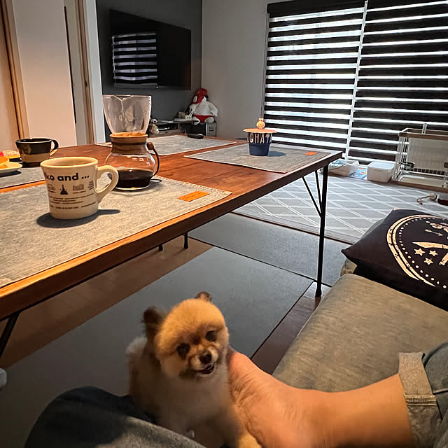 wizさんの実例写真