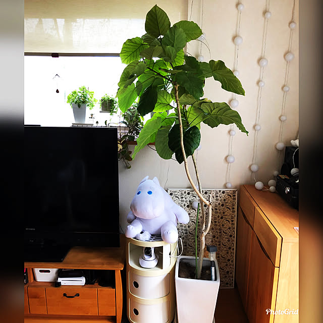 mtさんの実例写真