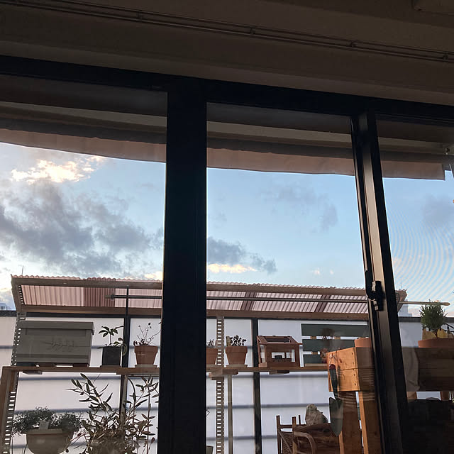 k51609060さんの部屋