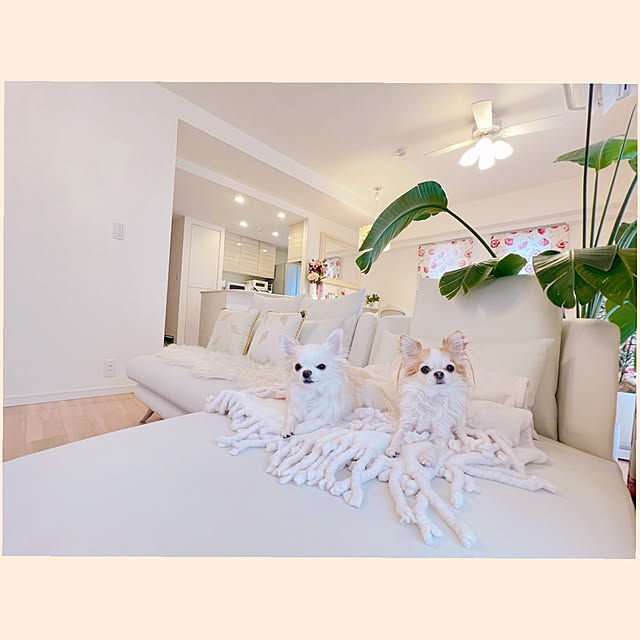 Hawaiiさんの実例写真