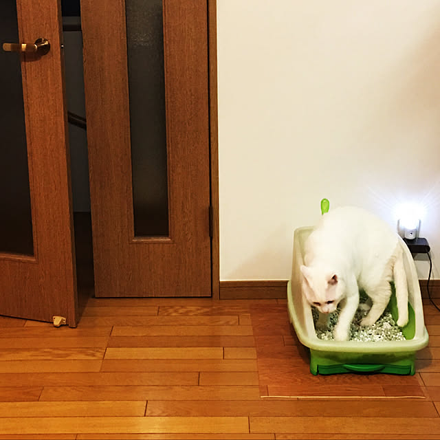 tekokaasanさんの実例写真