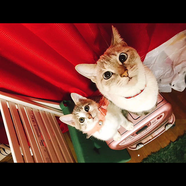 K.Chiakiさんの実例写真