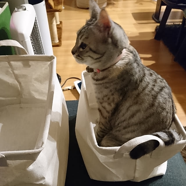 lelielさんの実例写真