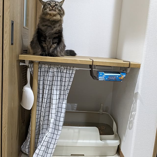 sayan_0321さんの実例写真