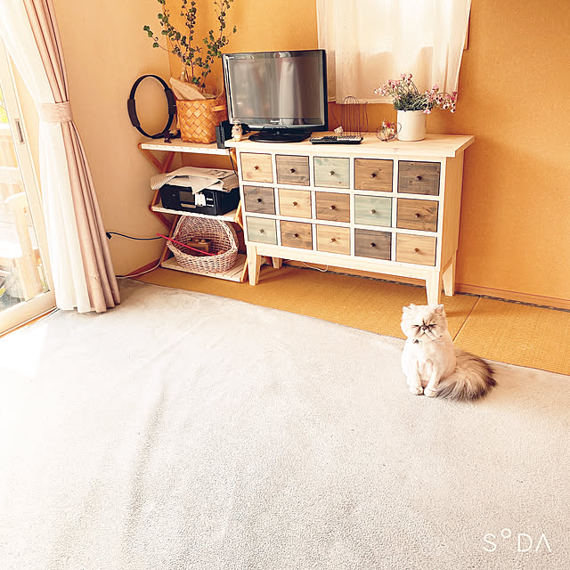 solanaさんの実例写真
