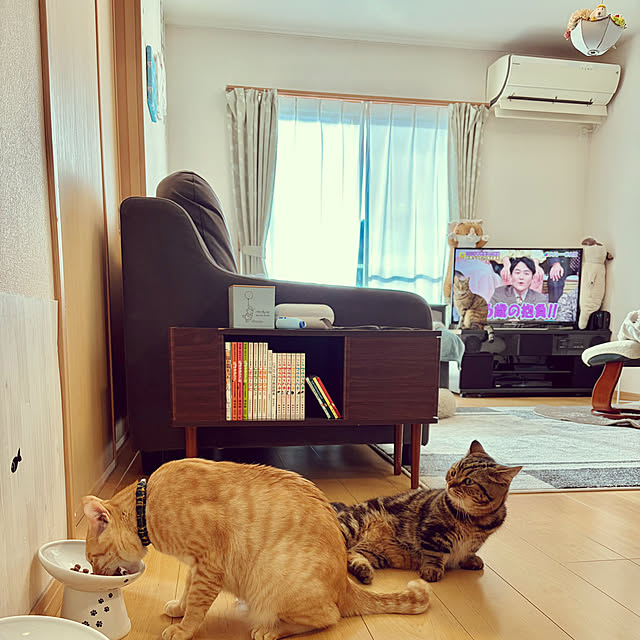 chiiさんの実例写真