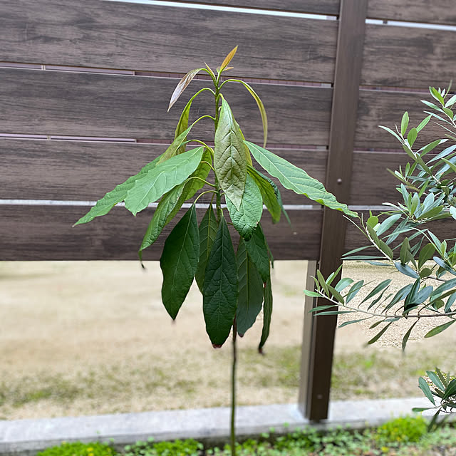 urotanさんの実例写真