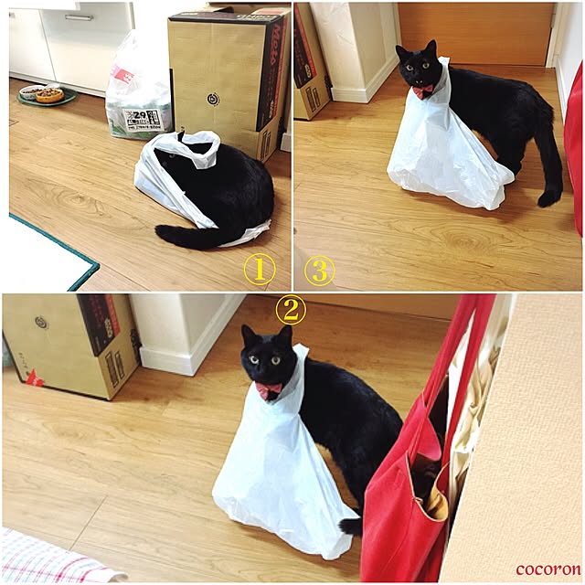 cocoronさんの実例写真