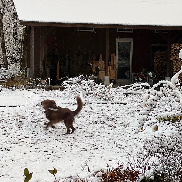 Kikko.さんの部屋