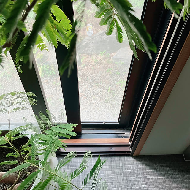 akanekoさんの部屋