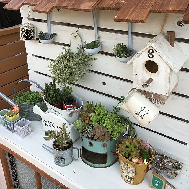 Sorieさんの実例写真