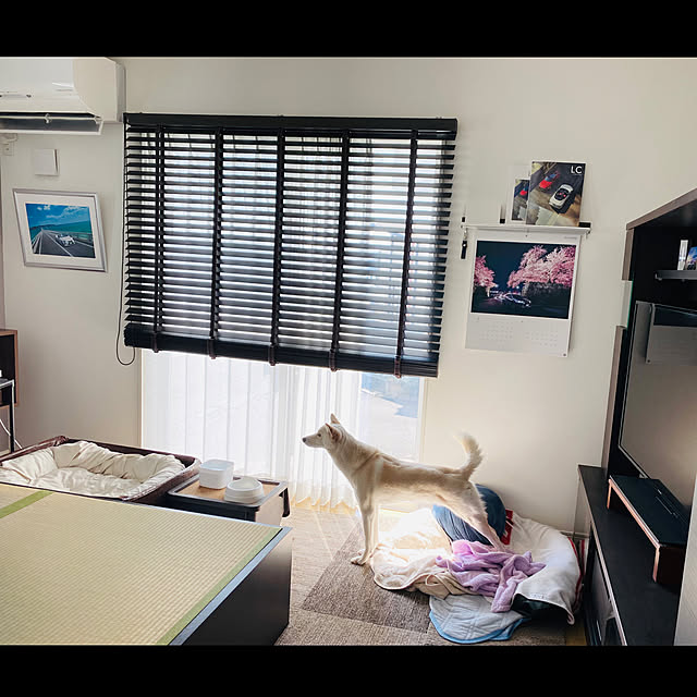 tanboさんの実例写真