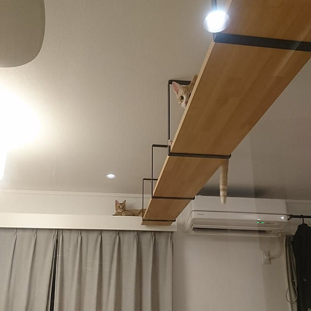 poteさんの実例写真