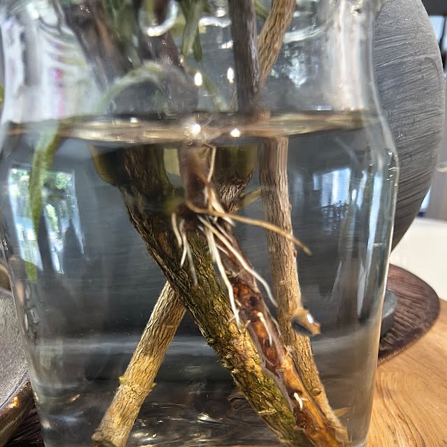 Rubiconさんの部屋