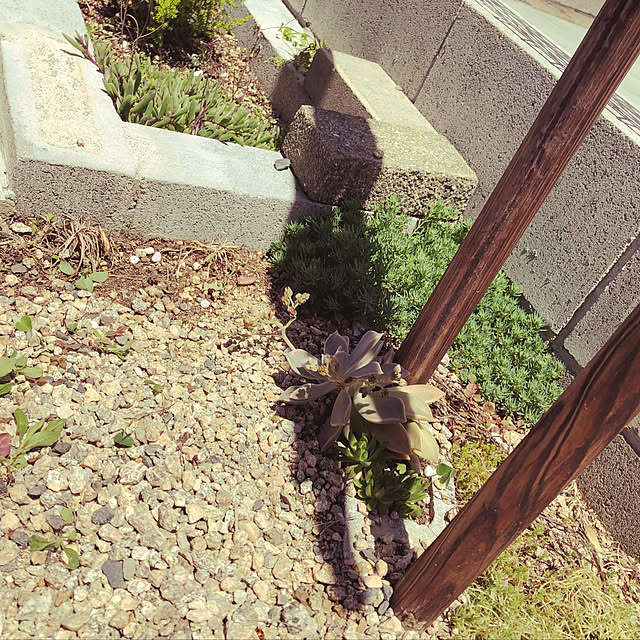 Mamikoさんの実例写真