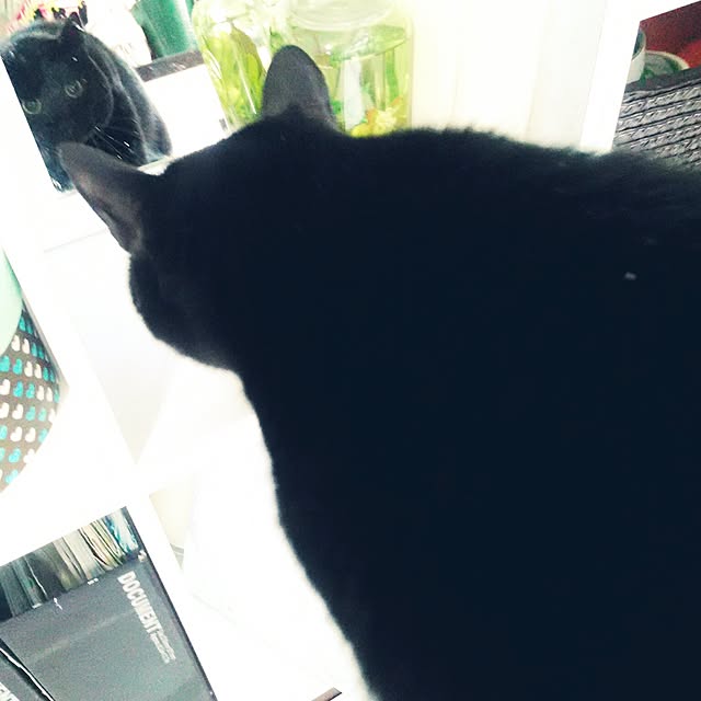 coronさんの実例写真