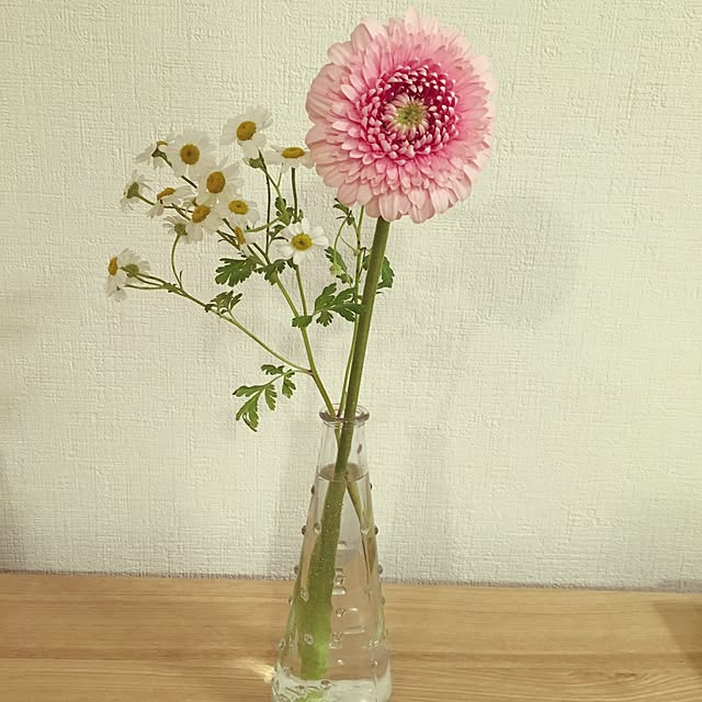 junpopoさんの実例写真