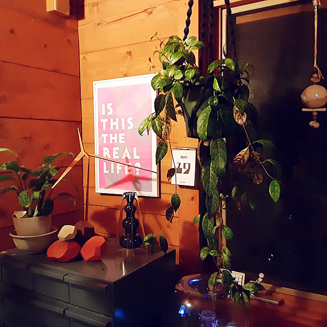 grapefruitmoonriderさんの実例写真