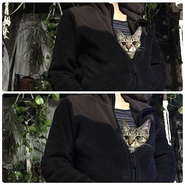 shigimiさんの実例写真