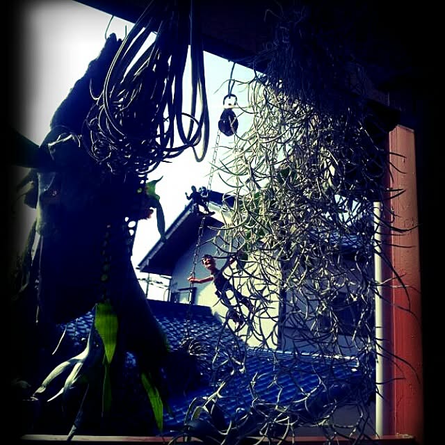 zutanさんの実例写真