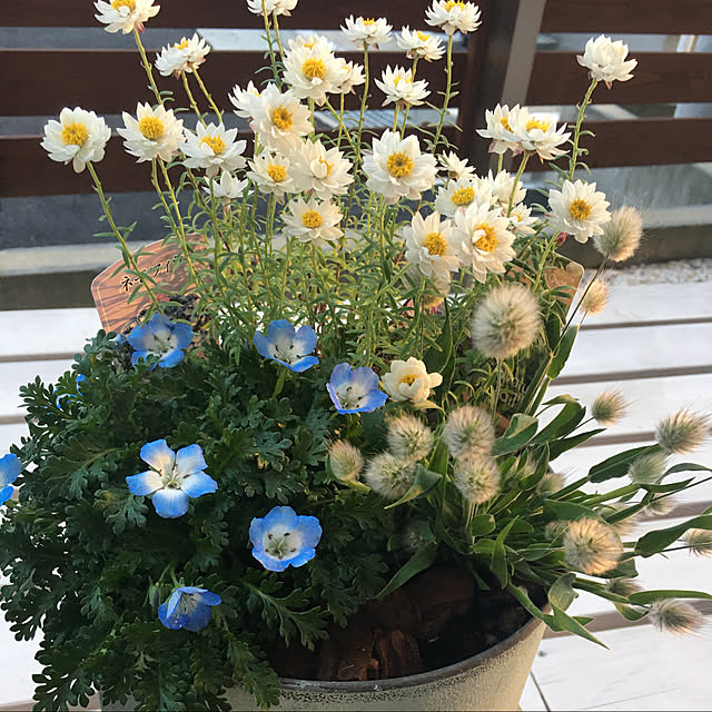 megu12さんの実例写真