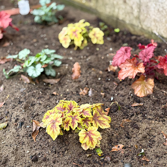 akkeyさんの実例写真