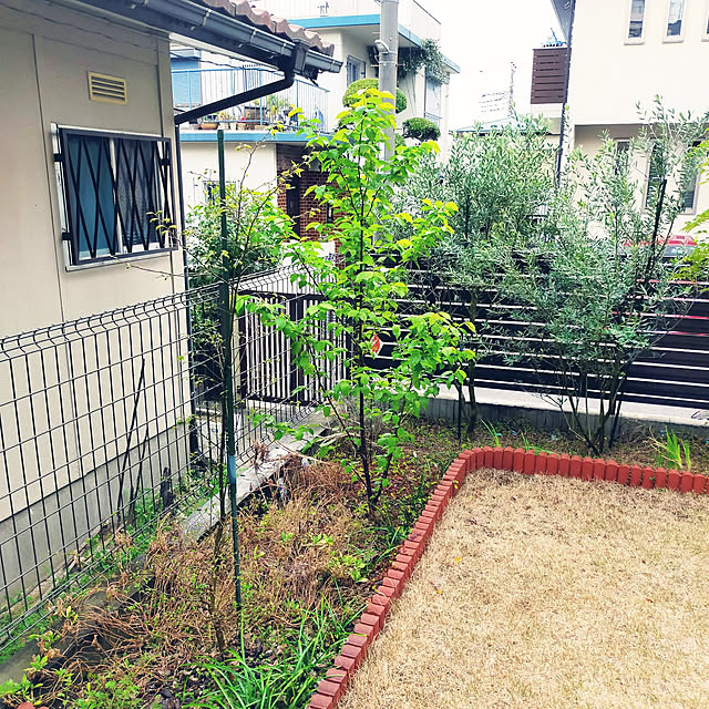 masaさんの実例写真
