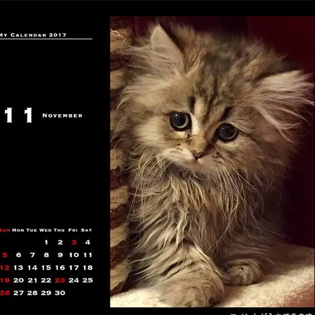 butachanさんの実例写真