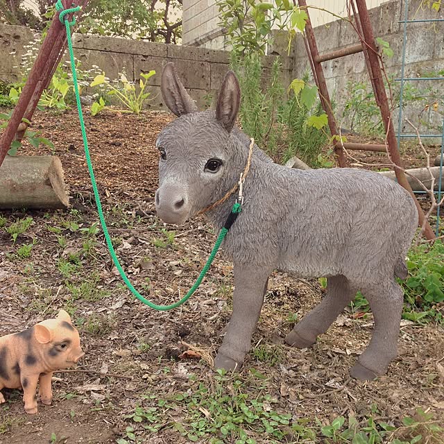TOROさんの実例写真