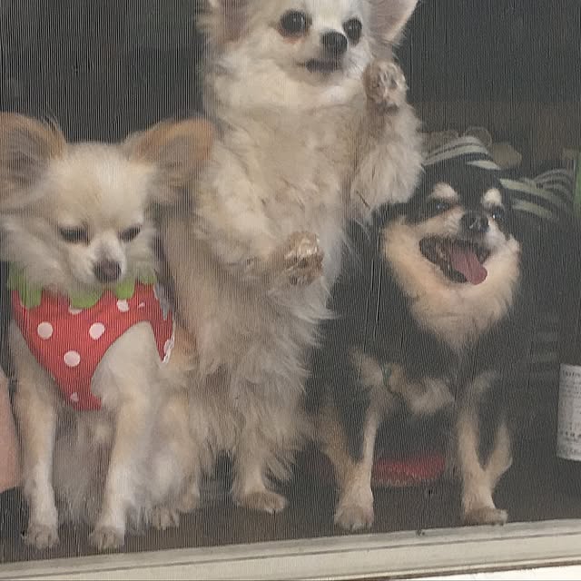 k.n.d.a.h.aさんの実例写真