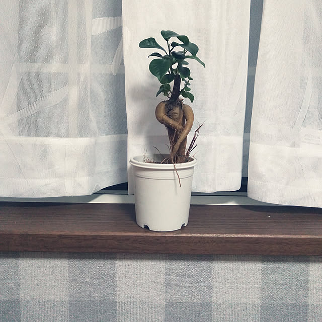 tateyさんの実例写真