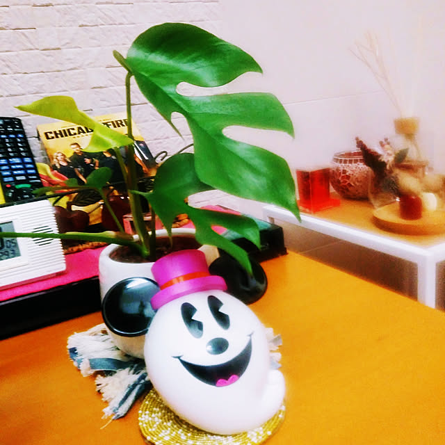 myprinceryuさんの実例写真
