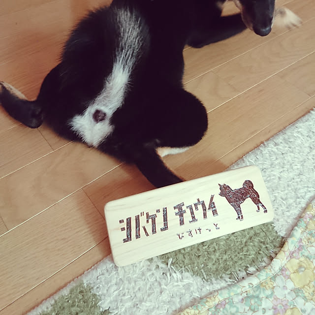 xxxakyxxxさんの実例写真