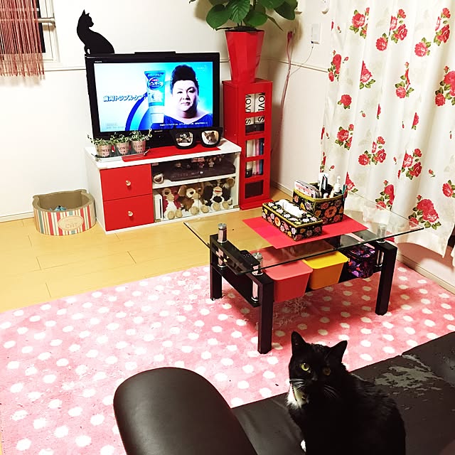 Hecacoさんの実例写真