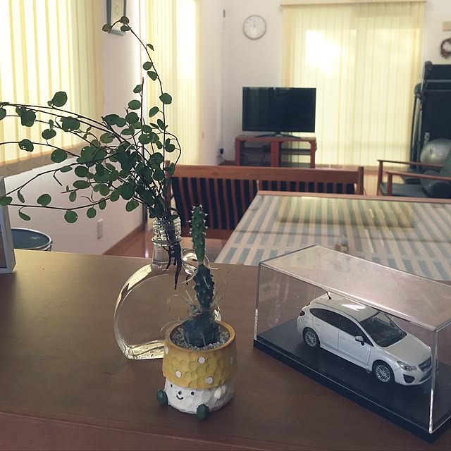 Enjuさんの実例写真