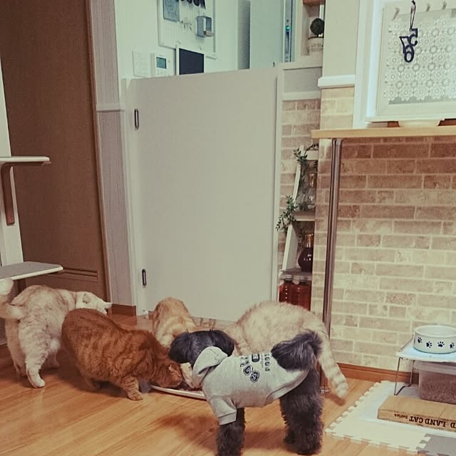 hanahanaさんの実例写真