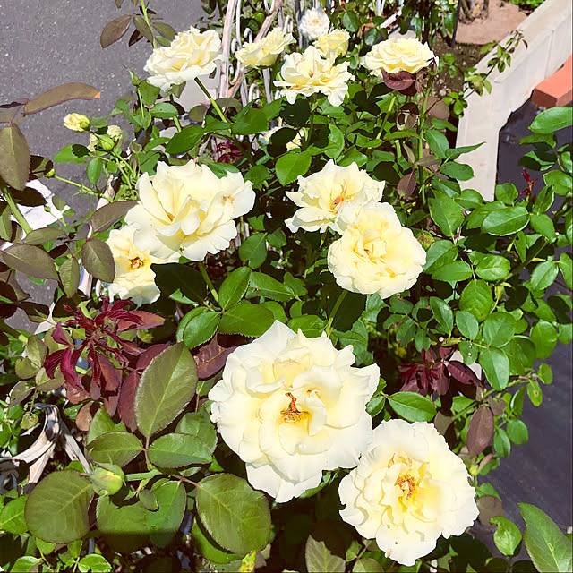 tomoさんの部屋