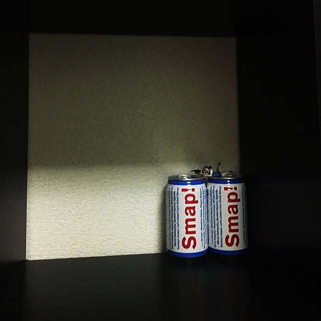kynagiさんの実例写真