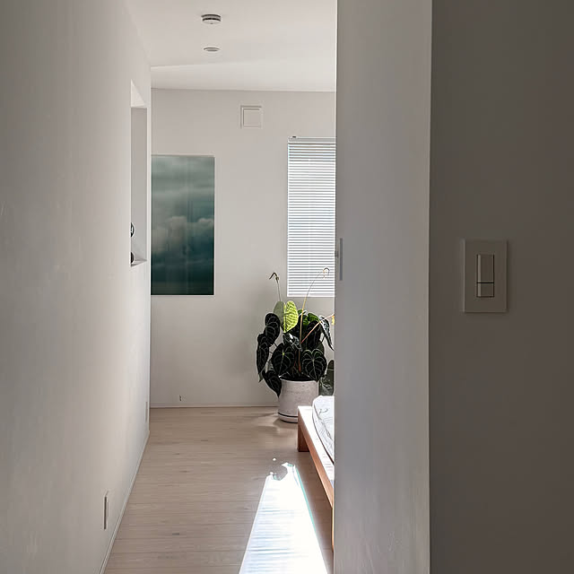 House.of.Slow.Lightさんの実例写真