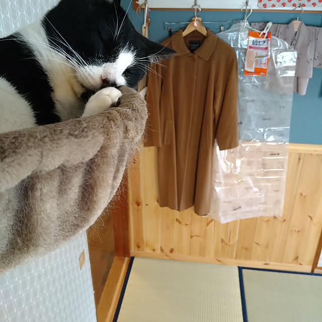 okyosan101さんの実例写真