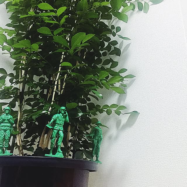 リビング/観葉植物/ナチュラルのインテリア実例 - 2016-12-10 21:26:53