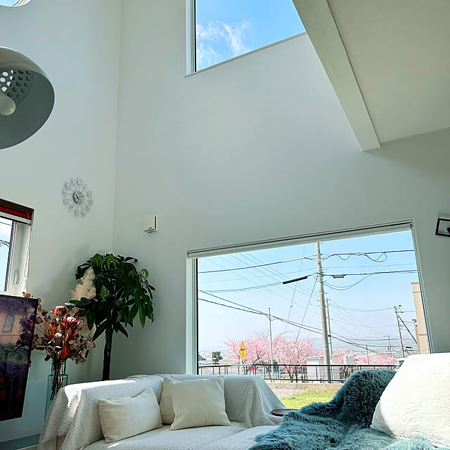 hanahana1444さんの部屋