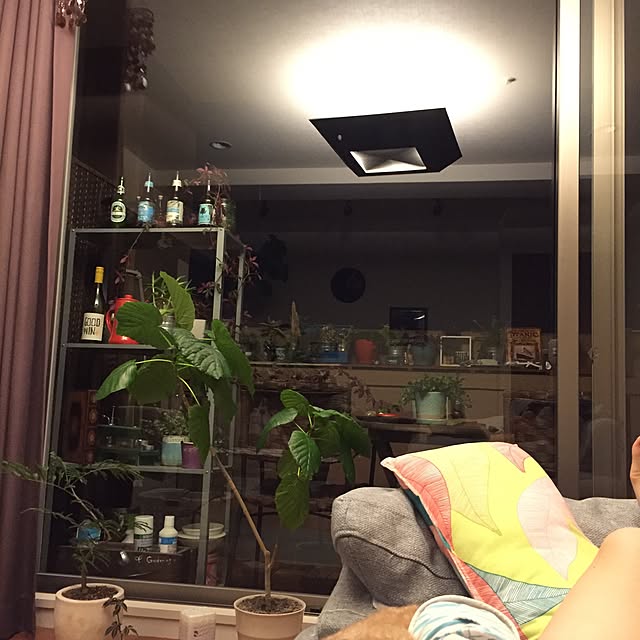 Asamiさんの部屋